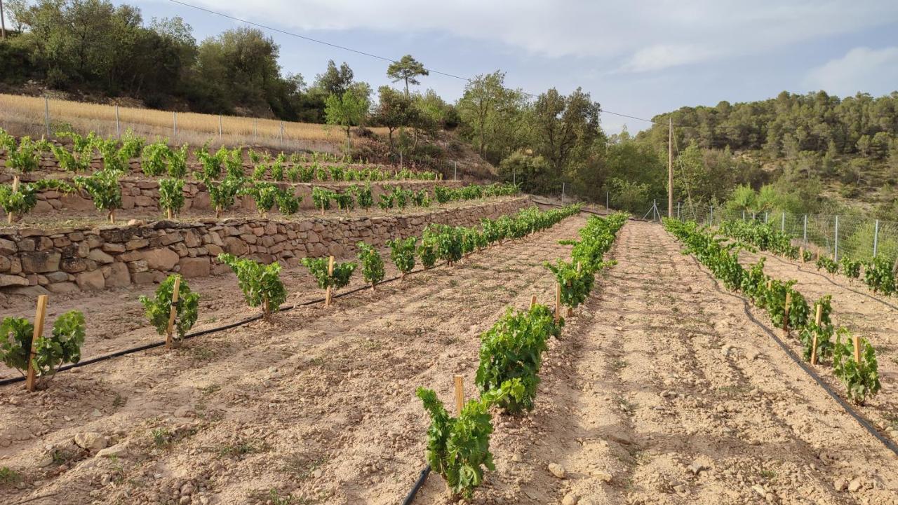 לינה וארוחת בוקר Calonge de Segarra Cal Ros מראה חיצוני תמונה